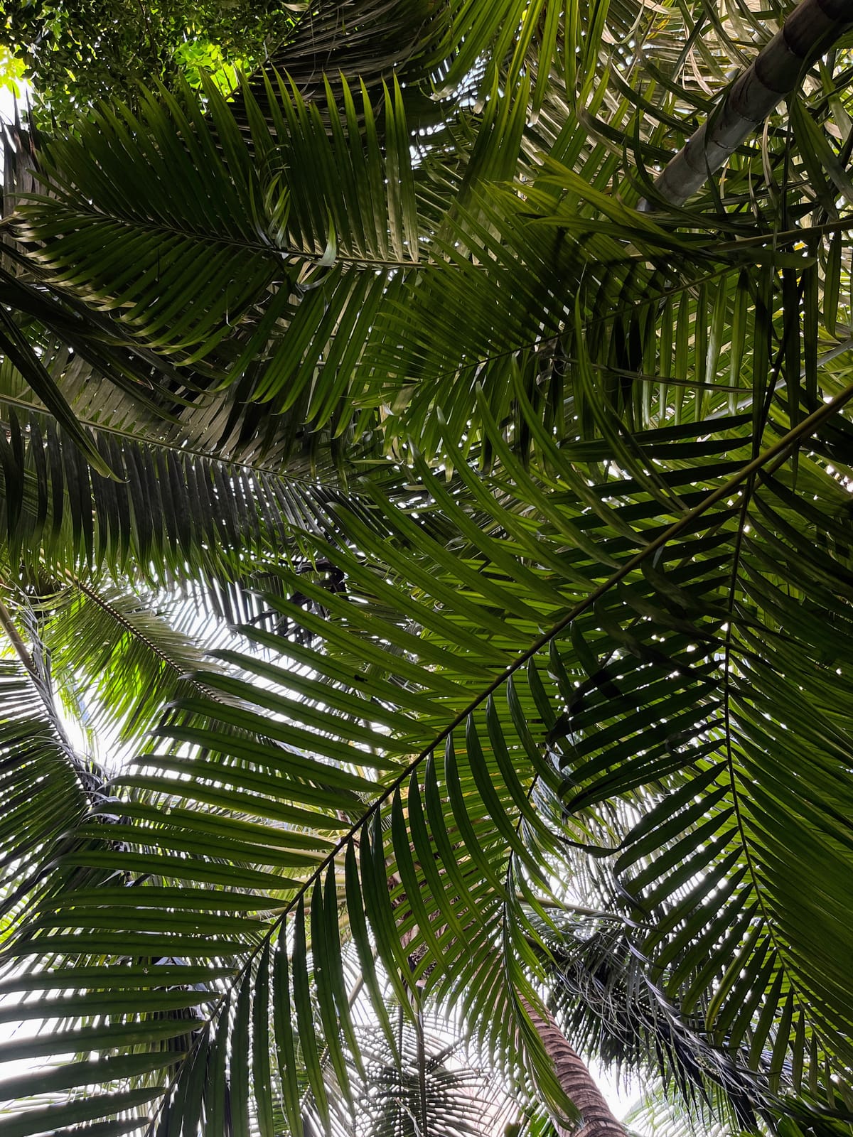 "Moi tu m'parles pas d'âge"*