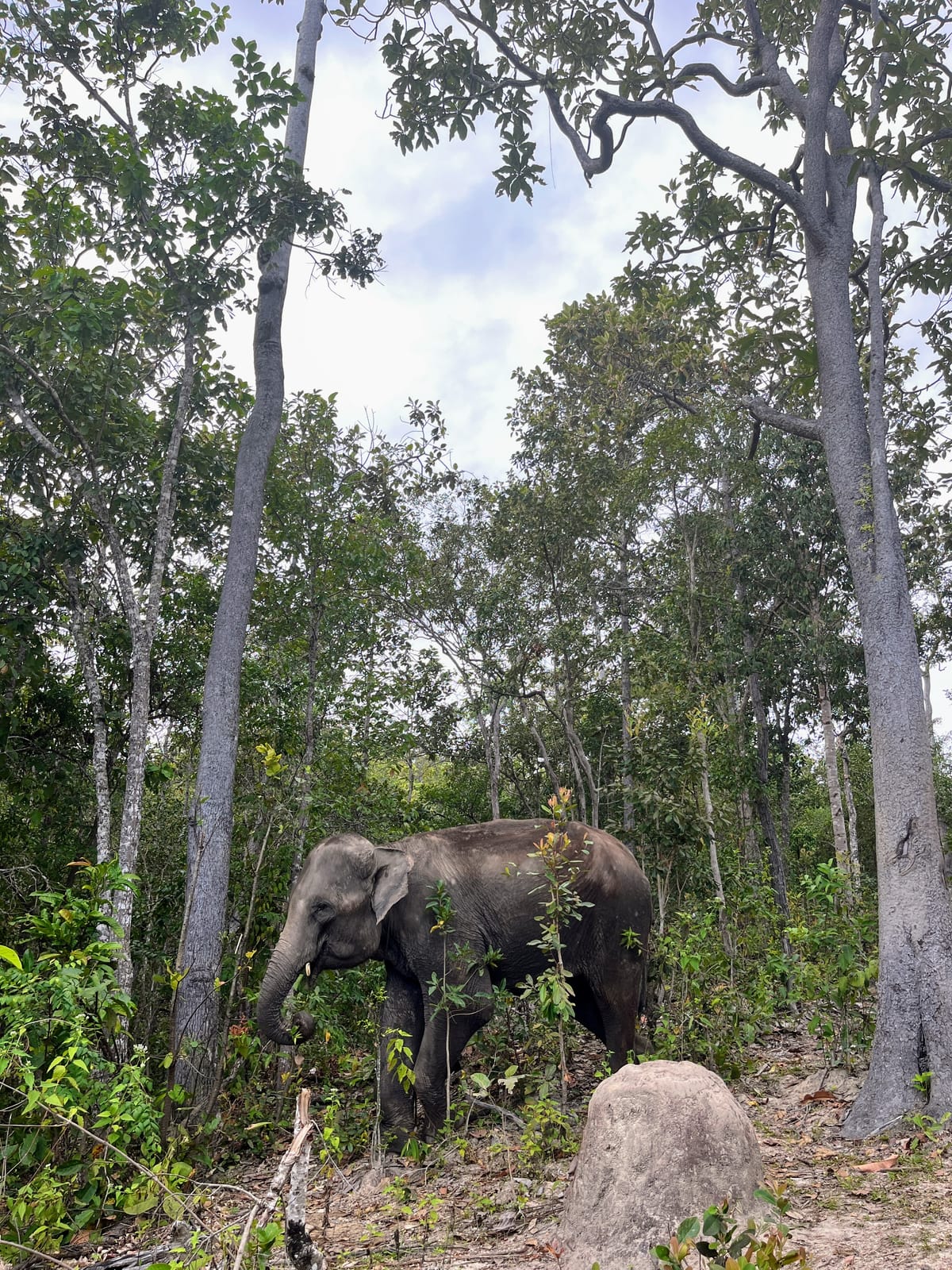 The one without a storyline