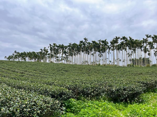 Bike now pain later (part 2)