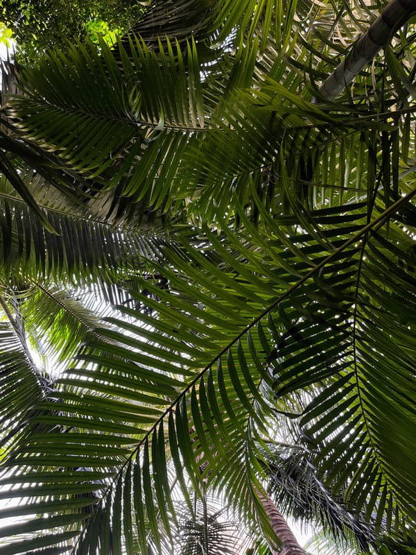 "Moi tu m'parles pas d'âge"*